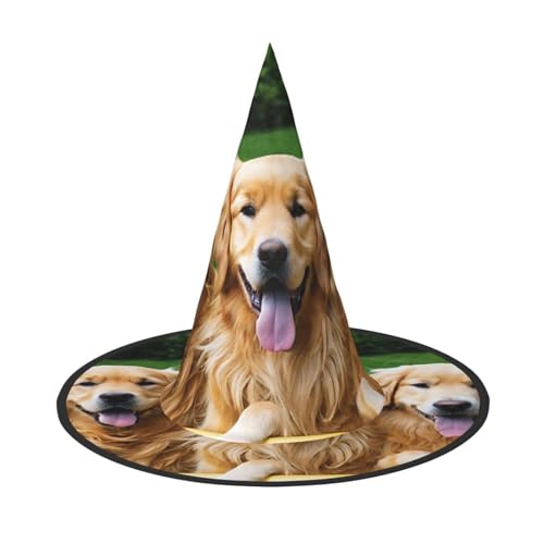 LHFIOHIRG Hexenhut für Erwachsene, Motiv: Golden Retriever, faltbar, spitzer Hut, Halloween-Kostüm, Zubehör für Damen, Cosplay, Partys, Urlaubsdekoration LHFIOHIRG Hexenhut für Erwachsene, Motiv: Golden Retriever, faltbar, spitzer Hut, Halloween-Kostüm, Zubehör für Damen, Cosplay, Partys, Urlaubsdekoration von LHFIOHIRG