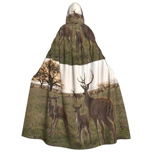 LHFIOHIRG Umhang mit Kapuze in voller Länge für Erwachsene, Herren, Damen, Halloween, Cosplay, Kostüm, Robe mit Kapuze LHFIOHIRG Umhang mit Kapuze in voller Länge für Erwachsene, Herren, Damen, Halloween, Cosplay, Kostüm, Robe mit Kapuze von LHFIOHIRG