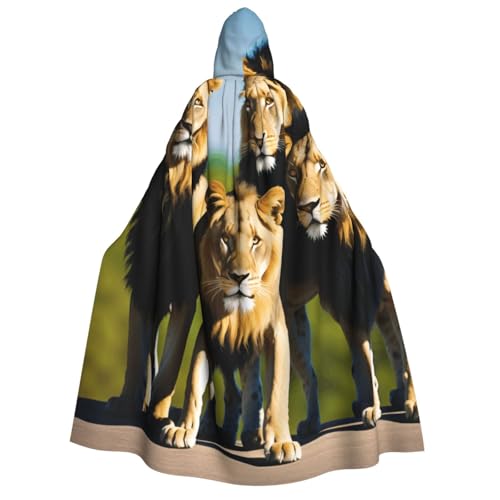 LHFIOHIRG Umhang mit Kapuze in voller Länge für Erwachsene, Herren, Damen, Halloween, Cosplay, Kostüm, Robe mit Kapuze von LHFIOHIRG
