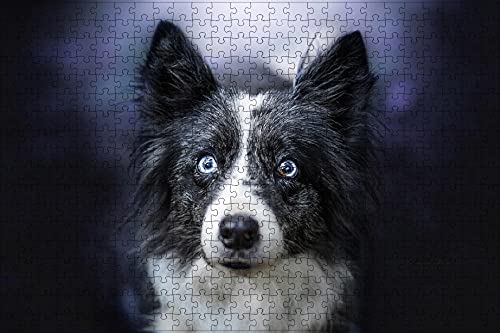 LHJOY Jigsaw Puzzle 1000 Teile Border Collie Hund blickt auf Tier Geburtstagsgeschenk 75x50cm von LHJOY