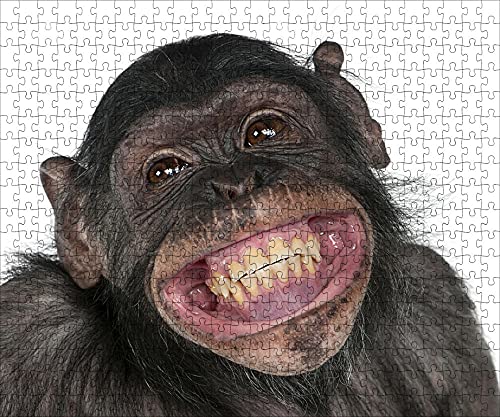 LHJOY Puzzle Erwachsene 1000 Teile AFFE Lächeln Zähne Maulkorb Tier Geburtstagsgeschenk 75x50cm von LHJOY