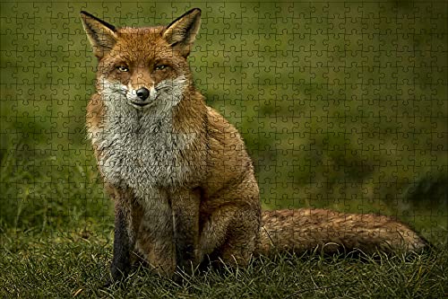 LHJOY geduldsspiel für Erwachsene 3D Puzzle 500 Teile Fuchs Tier starrt Geburtstagsgeschenk 52x38cm von LHJOY
