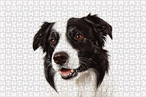 LHJOY rätsel Puzzle 3D Puzzle 1000 Teile Border Collie Hund Tier Geburtstagsgeschenk 75x50cm von LHJOY