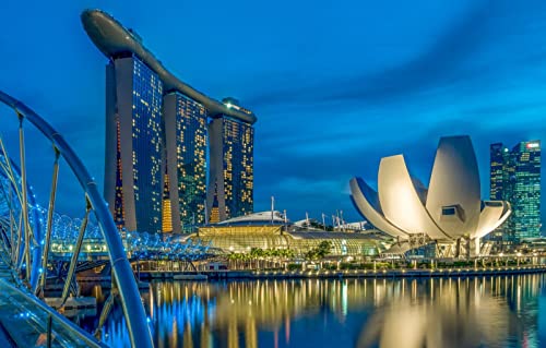 LHJOYSP Erwachsenen Puzzle 1000 Teile Stadtbrücke Singapur 75x50cm von LHJOY