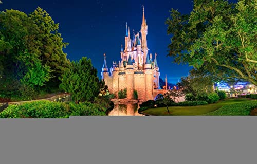 LHJOYSP iq Puzzle 1000 Teile,natürliche Schönheit,Sterne,Park,Fluss,USA,Orlando,75x50cm von LHJOY