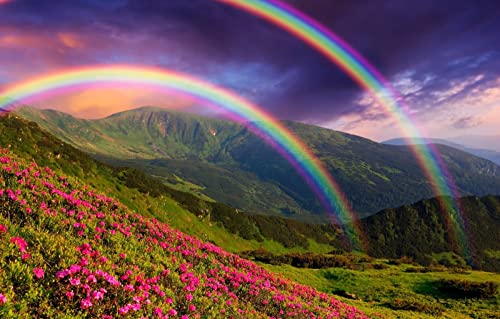 LHJOYSP Geschenk jährigen Jungen 3D Puzzle 1000 Teile,natürliche Schönheit,Blumen,Regenbogen,75x50cm von DZGlobal