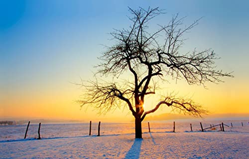 LHJOYSP Puzzle unterlagen Puzzle 1000 Teile,natürliche Schönheit,Schnee,Sonnenuntergang,75x50cm LHJOYSP Puzzle unterlagen Puzzle 1000 Teile,natürliche Schönheit,Schnee,Sonnenuntergang,75x50cm von DZGlobal