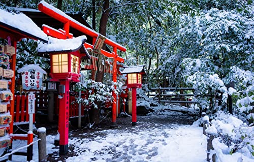 LHJOYSP Spiel mädchen 3D Puzzle 1000 Teile,Naturlandschaft,Schnee,Japan,Lichter,Tor,Kyoto,75x50cm von DZGlobal