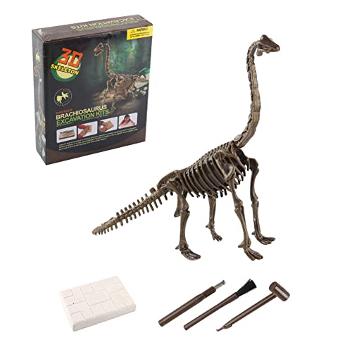 Dinosaurier-Ausgrabungsspielzeug, Dinosaurier Fossil Spielzeug, Dinosaurier Knochen Fossilien Skelett Dinosaurier Spielzeug Ausgrabungsset Mammut, Lernspielzeug Fossil Digging Kit Geschenk für Kinder von LICHENGTAI