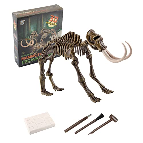Dinosaurier-Ausgrabungsspielzeug, Dinosaurier Fossil Spielzeug, Dinosaurier Knochen Fossilien Skelett Dinosaurier Spielzeug Ausgrabungsset Mammut, Lernspielzeug Fossil Digging Kit Geschenk für Kinder Dinosaurier-Ausgrabungsspielzeug, Dinosaurier Fossil Spielzeug, Dinosaurier Knochen Fossilien Skelett Dinosaurier Spielzeug Ausgrabungsset Mammut, Lernspielzeug Fossil Digging Kit Geschenk für Kinder von LICHENGTAI