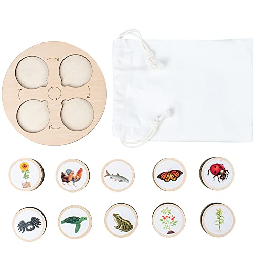 LICHENGTAI Montessori Holzspielzeug Lebenszyklus Brett, pädagogisches Life Cycle Tablett Spielzeug, Lernen von Lerntieren für Kinder im Vorschulalter, rühes Lernen Spielzeug Schulprojekt für Kinder LICHENGTAI Montessori Holzspielzeug Lebenszyklus Brett, pädagogisches Life Cycle Tablett Spielzeug, Lernen von Lerntieren für Kinder im Vorschulalter, rühes Lernen Spielzeug Schulprojekt für Kinder von LICHENGTAI