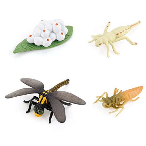 LICHENGTAI Tiere Lebenszyklus Figuren, Insekten Spielzeug Lebenszyklus Kunststoff Tierfiguren Kinder Pädagogische Modell Lernspielzeug Desktop Dekoration Lernspielzeug für Kinder von LICHENGTAI