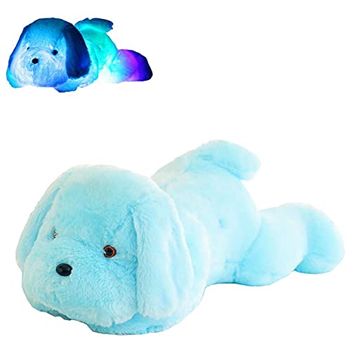 LICHENGTAI Süßes Hundeplüschtier, 30cm LED-Licht Weich Spielzeug leuchtende Stuffed Hund Plüschtiere Relax Kissen Puppen Geschenke Kinder Geburtstagsgeschenk, Blau LICHENGTAI Süßes Hundeplüschtier, 30cm LED-Licht Weich Spielzeug leuchtende Stuffed Hund Plüschtiere Relax Kissen Puppen Geschenke Kinder Geburtstagsgeschenk, Blau von LICHENGTAI