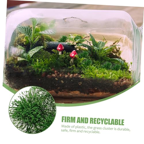 LIFKOME 1 Schachtel Simuliertes Gras Cluster Modellbau Sandtisch Dekoration Material Strapazierfähig DIY Feldgras Miniatur Ornament für Militärische Modelle LIFKOME 1 Schachtel Simuliertes Gras Cluster Modellbau Sandtisch Dekoration Material Strapazierfähig DIY Feldgras Miniatur Ornament für Militärische Modelle von LIFKOME