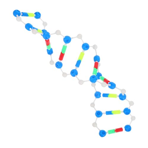 LIFKOME Molekularer DNA Strukturmodell Bausatz Für Biologieunterricht Und Wissenschaftsmessen Interaktive Lernressource Zur Veranschaulichung Der Doppelhelix-Struktur Für Genetische Und von LIFKOME