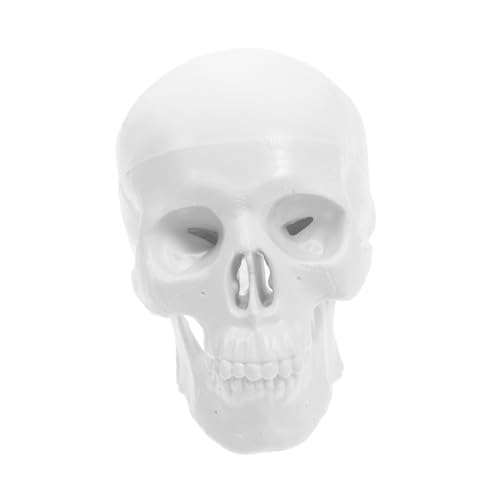 LIFKOME Mini Schädel Modell aus Kunststoff mit Beweglichem Mund Kleines Anatomisches Menschliches Schädelmodell für Studenten Realistische Darstellung für Lernen Kunst und Dekoration LIFKOME Mini Schädel Modell aus Kunststoff mit Beweglichem Mund Kleines Anatomisches Menschliches Schädelmodell für Studenten Realistische Darstellung für Lernen Kunst und Dekoration von LIFKOME