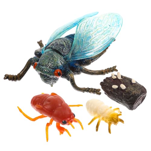 LIFKOME Simulations-zikadenmodell Satz Wachstumszyklus Spielzeug Für Kinder Dekoration Ausstellungsmodelle Kunststoff LIFKOME Simulations-zikadenmodell Satz Wachstumszyklus Spielzeug Für Kinder Dekoration Ausstellungsmodelle Kunststoff von LIFKOME