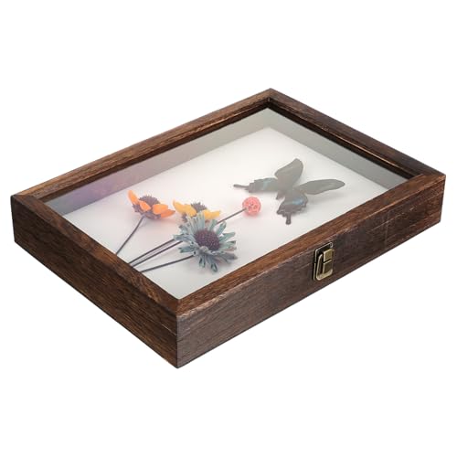LIFKOME Specimen Display Box aus Hochwertigem Holz mit Klarem Acryldeckel Großer Kapazität Multifunktionale Aufbewahrungsbox für Insekten Schmuck und Sammlerstücke Stilvolle Retro vitrine LIFKOME Specimen Display Box aus Hochwertigem Holz mit Klarem Acryldeckel Großer Kapazität Multifunktionale Aufbewahrungsbox für Insekten Schmuck und Sammlerstücke Stilvolle Retro vitrine von LIFKOME