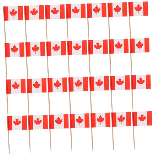 LIGIGWASH 200stücke Multifunktionale Länderflaggen Zahnstocher Dekorative Cupcake-topper Für Partys Hochzeiten Und Feiern Für Kreative Tortendekoration Und Fotospaß von LIGIGWASH