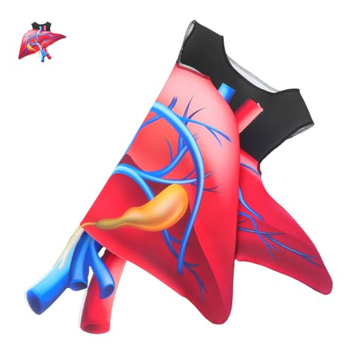 LIGIGWASH Halloween Herz Kostüm Digitaldruck Spooky Organ Cosplay Bühnenoutfit Lernkostüm Party Verkleidung für Anatomieunterricht und Aufführungen LIGIGWASH Halloween Herz Kostüm Digitaldruck Spooky Organ Cosplay Bühnenoutfit Lernkostüm Party Verkleidung für Anatomieunterricht und Aufführungen von LIGIGWASH