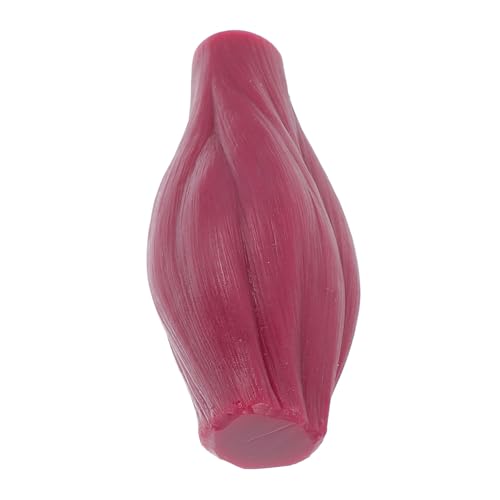 LIGIGWASH Lb Muskelmodell für Menschlichen Körper Farblich Detailliertes Lehrreiches Anatomie modell ohne Sockel um Muskelaufbau und Fitness Verständlich zu Machen für Lehrer und Schüler von LIGIGWASH