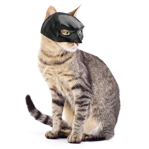 Batman Maske für Katzen,Katzenbekleidung,Cat Mask,Lustige Schwarze Fledermausmaske für Katzen,Katzen Maske,Katzen Masken,Haustierkostüm für Halloween Oder Den Täglichen Spaß Batman Maske für Katzen,Katzenbekleidung,Cat Mask,Lustige Schwarze Fledermausmaske für Katzen,Katzen Maske,Katzen Masken,Haustierkostüm für Halloween Oder Den Täglichen Spaß von LILELIG