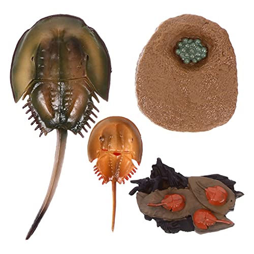 LIOOBO 1 Satz Organismen Modellspielzeug Set Umweltfreundliches Lernspielzeug für Erkennung von Meereslebewesen Realistische Mini Tierfiguren für Frühe Bildung Foto Requisiten Geeignet von LIOOBO