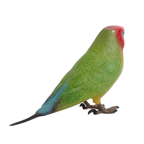 LIOOBO 1 Stück Papagei Modell Gartenverzierung simuliertes Papageienspielzeug Vogelmodell Vögel basteln papagei schmuck Modell Einer Papageienfigur Lehrhilfe Plastik Bunt LIOOBO 1 Stück Papagei Modell Gartenverzierung simuliertes Papageienspielzeug Vogelmodell Vögel basteln papagei schmuck Modell Einer Papageienfigur Lehrhilfe Plastik Bunt von LIOOBO