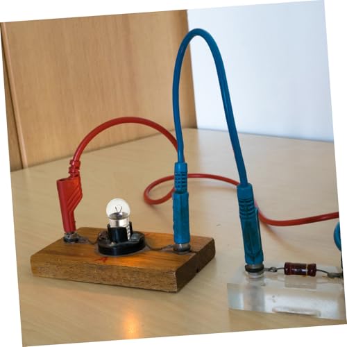 LIOOBO 12 Stück Teiliges Miniatur Schraubfassung Glühbirnen Kleine LED taschenlampenlampen für Physikunterricht Einfach zu Ersetzen Vielseitig für Experimente und Outdoor Beleuchtung von LIOOBO