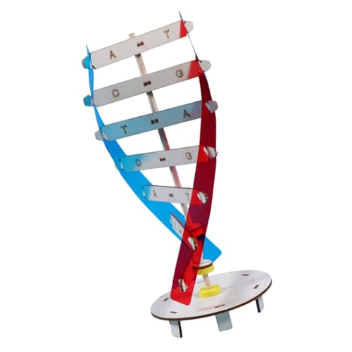 LIOOBO 1Satz DIY Doppelhelix Modellspielzeug für Selbstorganisationsmodell zur DNA Darstellung Lehrmittel für Biowissenschaften Fördert Kreatives Lernen und Klassenzimmerdekoration von LIOOBO