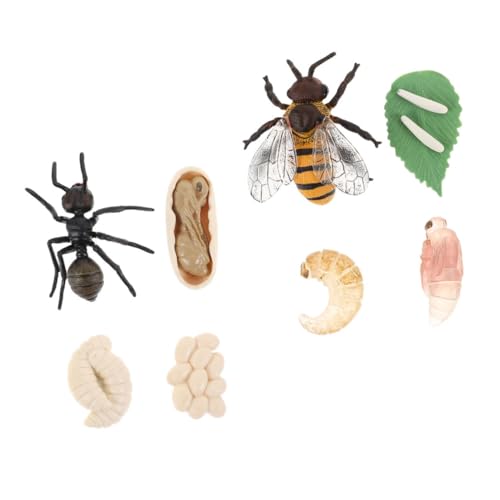 LIOOBO 2Sätze Lebenszyklusmodelle von Bienen und Ameisen Teiliges aus Langlebigem für Montessori Spiele und Naturerforschung Lehrreiches Insektenspielzeug LIOOBO 2Sätze Lebenszyklusmodelle von Bienen und Ameisen Teiliges aus Langlebigem für Montessori Spiele und Naturerforschung Lehrreiches Insektenspielzeug von LIOOBO