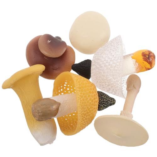 LIOOBO 6 Stück Lebensnahe Simulationspilze für Dekoration für Zuhause Fotografie Requisiten Bastelbedarf Lehrmittel für Frühe Bildung LIOOBO 6 Stück Lebensnahe Simulationspilze für Dekoration für Zuhause Fotografie Requisiten Bastelbedarf Lehrmittel für Frühe Bildung von LIOOBO