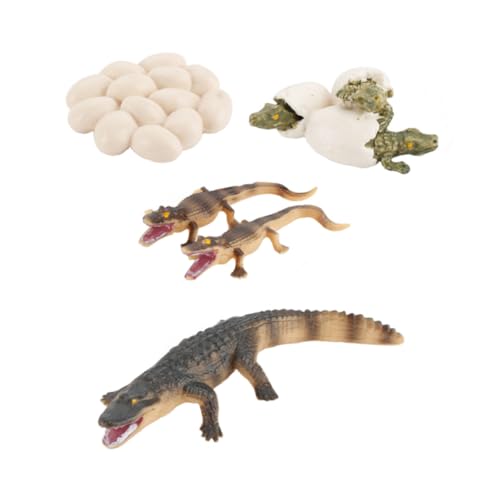 LIOOBO Krokodil Lebenszyklus Set – 1x Krokodil Und 6X Eier Aus Hochwertigem Kunststoff - Pädagogisches Modell Für Und Kleinkinder - Ideal Für Kreatives Lernen Und LIOOBO Krokodil Lebenszyklus Set – 1x Krokodil Und 6X Eier Aus Hochwertigem Kunststoff - Pädagogisches Modell Für Und Kleinkinder - Ideal Für Kreatives Lernen Und von LIOOBO