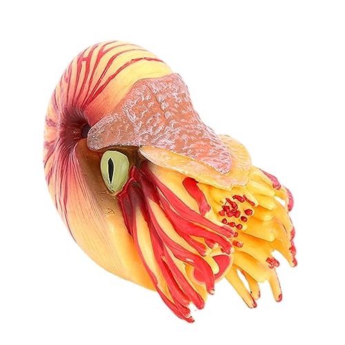 LIOOBO Kunststoff Nautilus Modell Simuliertes Tier Dekorationsfigur als Tierspielzeug für Feiner Verarbeitung und Lebendigen Details Geeignet für Zuhause Garten von LIOOBO