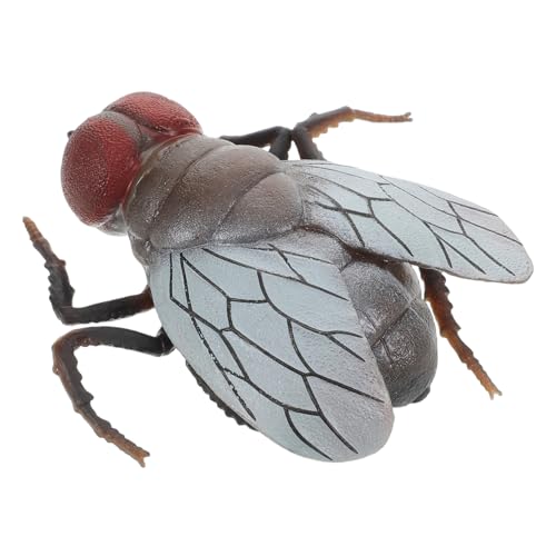LIOOBO Realistisches Fliegen Insektenmodell für Lernspielzeug und Scherzartikel für Aprilscherze und Halloween Dekorationen aus Sicherem Material Gefertigt LIOOBO Realistisches Fliegen Insektenmodell für Lernspielzeug und Scherzartikel für Aprilscherze und Halloween Dekorationen aus Sicherem Material Gefertigt von LIOOBO