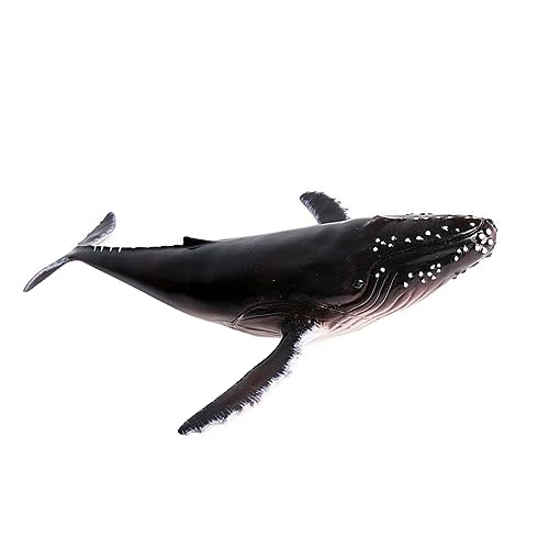 LIOOBO Realistisches Humpback Whale Modell aus Hochwertigem Kunststoff Detailgetreues Meerestier für Wohn und Arbeitsräume Kreative Dekoration und Sammelfigur für Erwachsene LIOOBO Realistisches Humpback Whale Modell aus Hochwertigem Kunststoff Detailgetreues Meerestier für Wohn und Arbeitsräume Kreative Dekoration und Sammelfigur für Erwachsene von LIOOBO