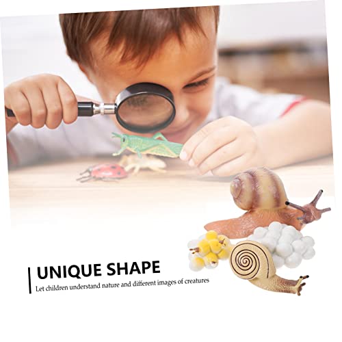 LIOOBO Realistisches Schnecken Lebenszyklus Modell Pädagogisches Kinderspielzeug Detailgetreue Tier Dekoration Fördert Kognitive Entwicklung Langlebige Desktop Figurine LIOOBO Realistisches Schnecken Lebenszyklus Modell Pädagogisches Kinderspielzeug Detailgetreue Tier Dekoration Fördert Kognitive Entwicklung Langlebige Desktop Figurine von LIOOBO