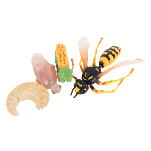 LIOOBO Realistisches Teiliges Wachstumszyklus Modell der Pädagogisches Insekten für Sichere Materialien Dekoratives Lernspielzeug zur Biologischer Kenntnisse LIOOBO Realistisches Teiliges Wachstumszyklus Modell der Pädagogisches Insekten für Sichere Materialien Dekoratives Lernspielzeug zur Biologischer Kenntnisse von LIOOBO