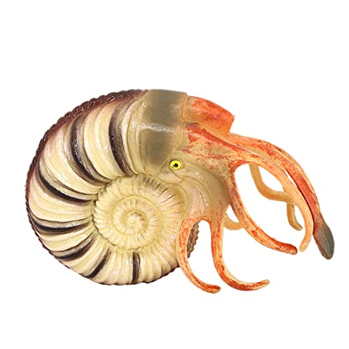 LIOOBO Simulation Nautilus Modell Künstliche Meerestiere Dekoration für Realistisches Nautilus Modell aus Langlebigem Lernspielzeug für Kreative von LIOOBO