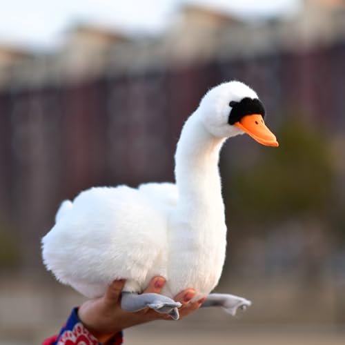 LIUHONGFEI Simulation Schwan Plüschtier, hässliche Entchen Stofftierpuppe, Schwarz Es gibt Aluminiumdraht im Hals zur Unterstützung (Weißer Schwan) von LIUHONGFEI