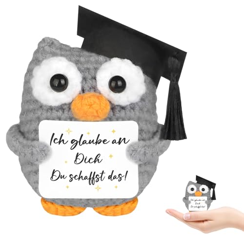 LIURFLNC Glücksbringer Prüfung - Handgestrickte Eule Als Prüfung Geschenk für Schüler Studenten & Absolventen, Perfekt für Prüfungen Bachelor & Master Abschluss (7x5x9 cm) von LIURFLNC