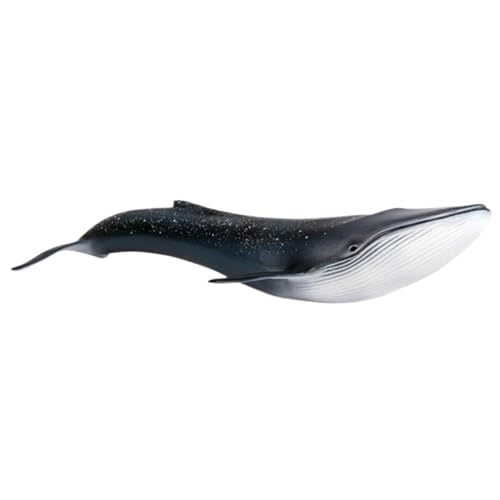 LIXSAZSE Meereslebewesen, lebensechter Hai für und Erwachsene, Modelle, Hai Modelle, Simulationsspielzeug, Hai Modell, Spielzeit, Tierspielzeug, Blauwal von LIXSAZSE