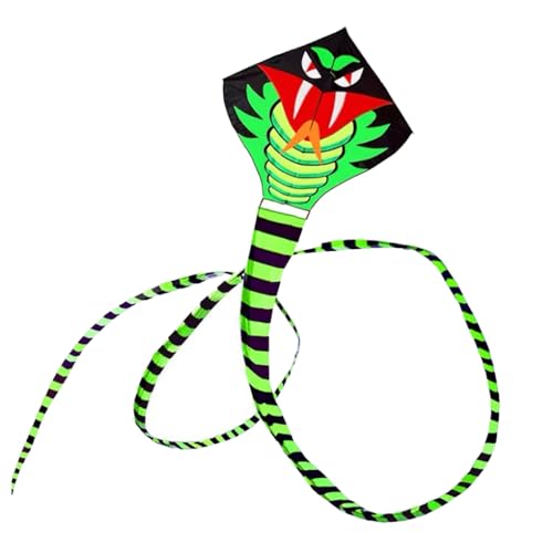 LIXSAZSE Schlangenform Drachen Outdoor Long Tail Drachen Linie Spielzeug mit Griff Herbst Kinder Stoffspielzeug Sporting Good Yard Lawn, 16M LIXSAZSE Schlangenform Drachen Outdoor Long Tail Drachen Linie Spielzeug mit Griff Herbst Kinder Stoffspielzeug Sporting Good Yard Lawn, 16M von LIXSAZSE