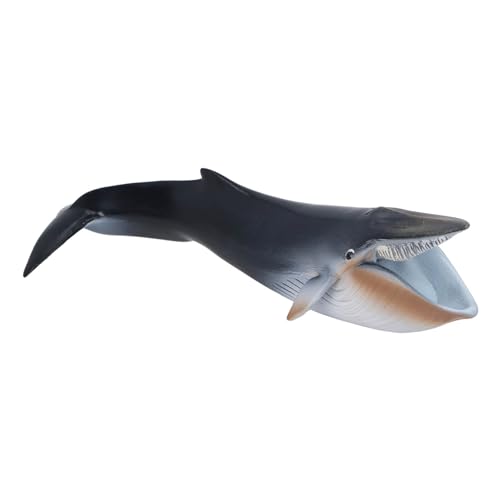 LIZEALUCKY Blue Whale -Figur Simulation Innovative pädagogische handbemalte See Marine Animal Toys Kindere für Bades Erzählen vor der Schule Rollenspiel Party Pool Weiche Plastik LIZEALUCKY Blue Whale -Figur Simulation Innovative pädagogische handbemalte See Marine Animal Toys Kindere für Bades Erzählen vor der Schule Rollenspiel Party Pool Weiche Plastik von LIZEALUCKY