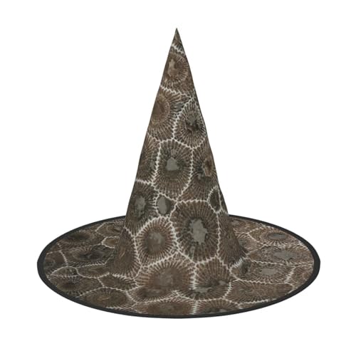 LJABCVNN Petoskey Steindruck Halloween Hexenhut für Halloween Party Karneval Ein Muss Kostüm Zubehör von LJABCVNN