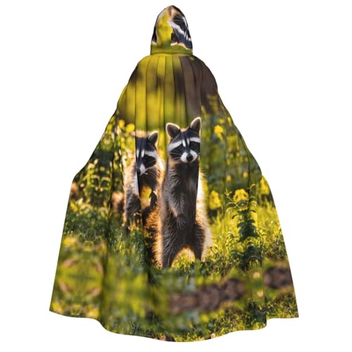 LJABCVNN Süßer Waschbär-Druck, Erwachsenen-Halloween-Kapuzenumhang, bequem für Cosplay/Partys/Spukhäuser von LJABCVNN