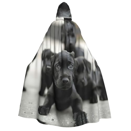 LJABCVNN Welpen-Hunde-Aufdruck, Erwachsenen-Halloween-Kapuzenumhang, bequem für Cosplay/Partys/Spukhäuser LJABCVNN Welpen-Hunde-Aufdruck, Erwachsenen-Halloween-Kapuzenumhang, bequem für Cosplay/Partys/Spukhäuser von LJABCVNN