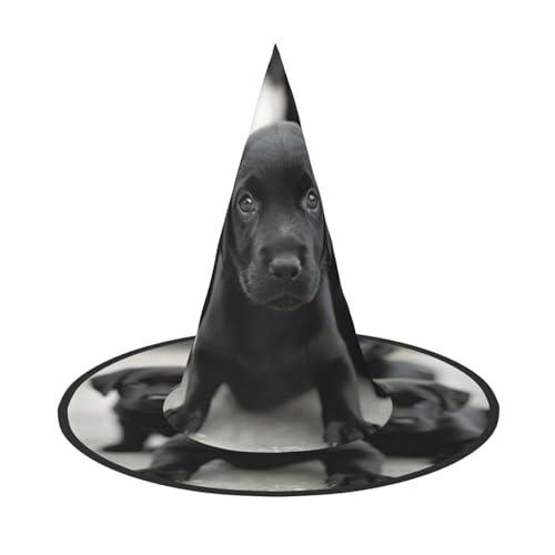 LJABCVNN Welpen-Hunde-Aufdruck, Halloween-Hexenhut, für Halloween-Party, Karneval, ein Muss für Kostümzubehör von LJABCVNN