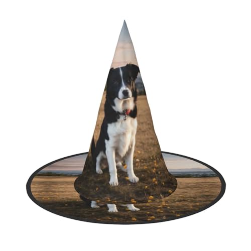 LJABCVNN Welpen-Hunde-Aufdruck, Halloween-Hexenhut, für Halloween-Party, Karneval, ein Muss für Kostümzubehör LJABCVNN Welpen-Hunde-Aufdruck, Halloween-Hexenhut, für Halloween-Party, Karneval, ein Muss für Kostümzubehör von LJABCVNN