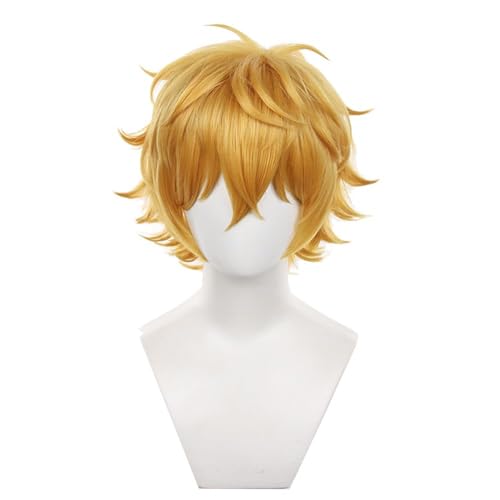 LJFIWY Haruka Suo Hayato Anime Windbreaker, Cosplay-Kostüm, Hemd, Jacke, Hose für Erwachsene, Halloween, Kostümparty, Uniform (Nirei Akihiko Perücke, Einheitsgröße) von LJFIWY